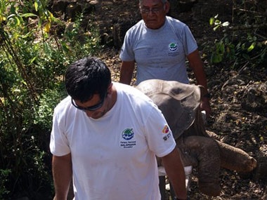 Last-of-his kind Galapagos tortoise that helped Darwin's theory, dies ...