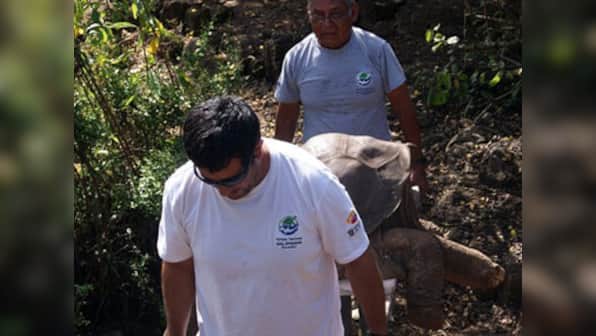 Last-of-his kind Galapagos tortoise that helped Darwin's theory, dies