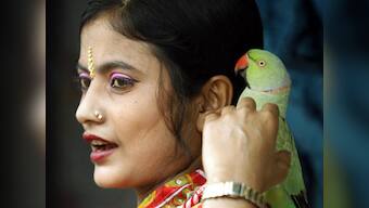 Sthraina Kamasutra: A sex manual for women