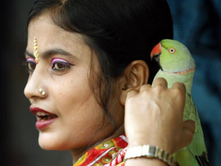 Sthraina Kamasutra: A sex manual for women