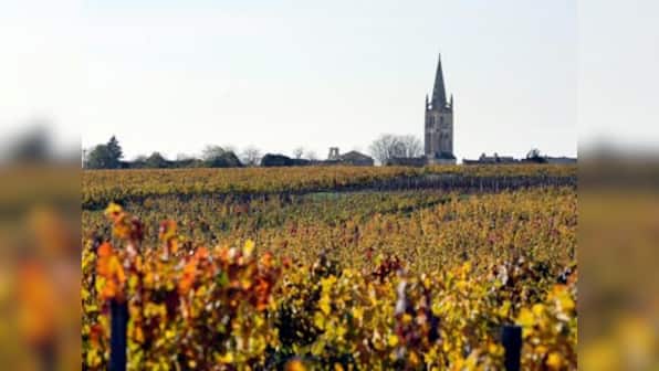Bacchanalian pleasures in the French town of Bordeaux 