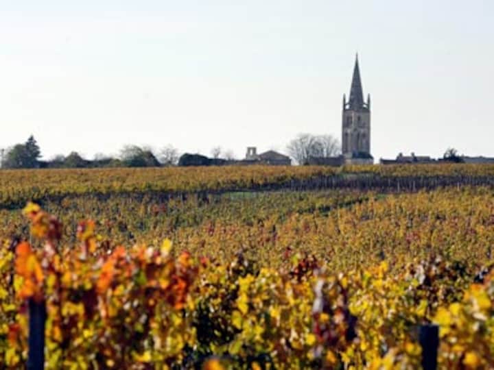 Bacchanalian pleasures in the French town of Bordeaux 