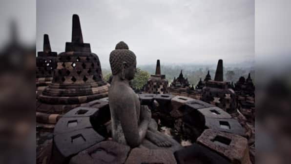 'Almost dead, Gautam Buddha's Gaya Bodhi tree resurrected'
