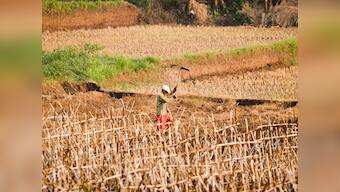 Worst drought since 1950s for US