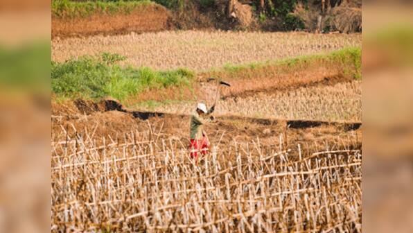 Worst drought since 1950s for US