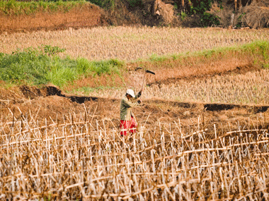 Worst drought since 1950s for US Worst drought since 1950s for US