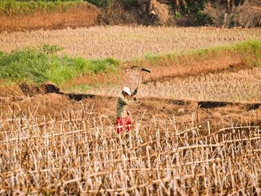 Worst drought since 1950s for US