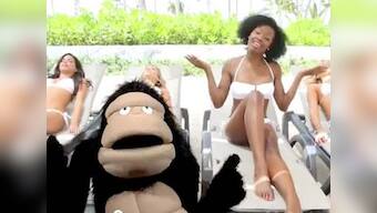 Viral video: Gorilla does cover of 'Call me maybe'