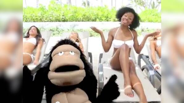 Viral video: Gorilla does cover of 'Call me maybe'
