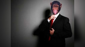 Monkey Index outdoes brokers but underperforms Sensex, Nifty 