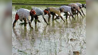  Financial cover to crop damage due to cold wave
