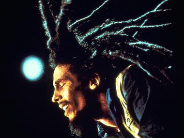 The insect world gets its own Obama, Elvis and Bob Marley The insect world gets its own Obama, Elvis and Bob Marley