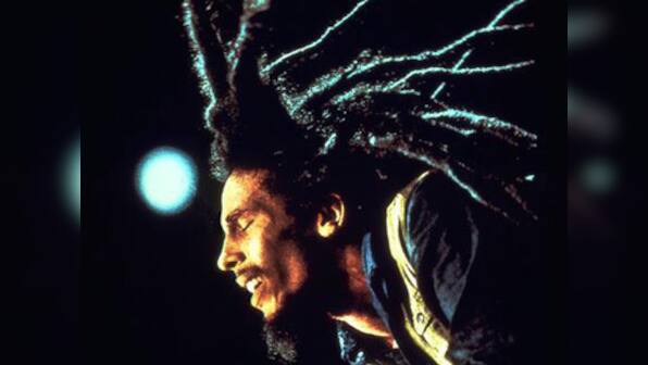 The insect world gets its own Obama, Elvis and Bob Marley