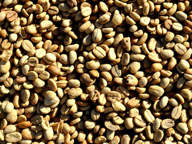 Commodity mkt regulator warns traders to curb manipulation Commodity mkt regulator warns traders to curb manipulation