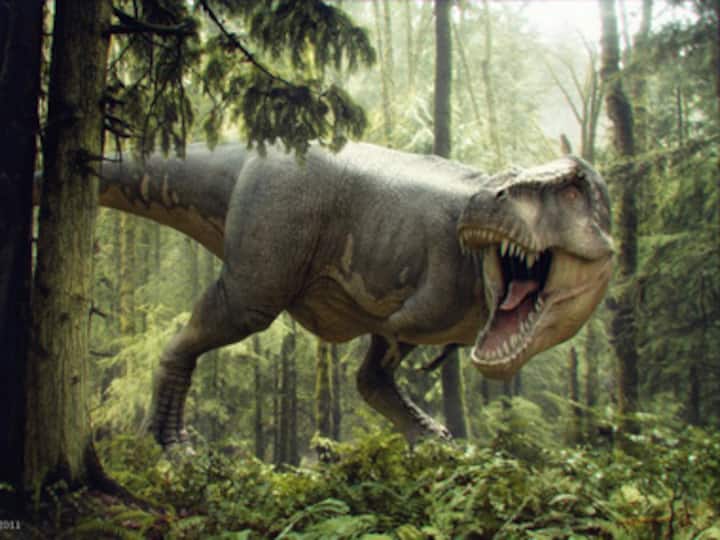 Do Dinosaurs and birds have common ancestors? Do Dinosaurs and birds have common ancestors?