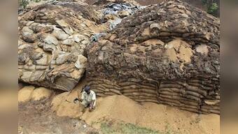 As crops rot, millions go hungry in India