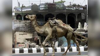 Gujarat shrines repair: Should taxpayer pay the bills?