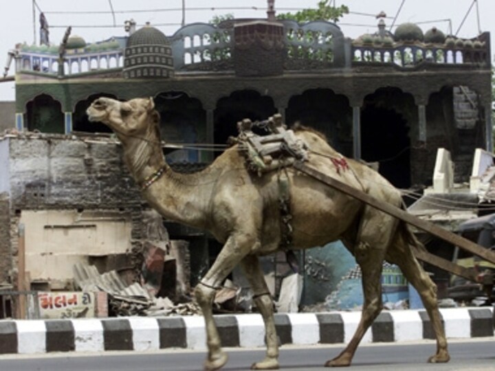 Gujarat shrines repair: Should taxpayer pay the bills?