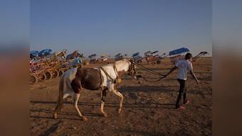 Zeenat Aman asks for ban on horse-drawn carriages