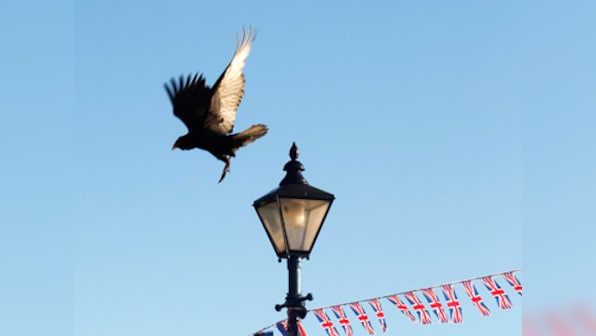 A bulb in Britain glowing for 100 years
