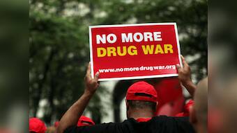 Two tonnes of marijuana found in Mexican cemetery