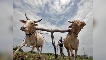 Met dept says monsoon deficiency will improve soon