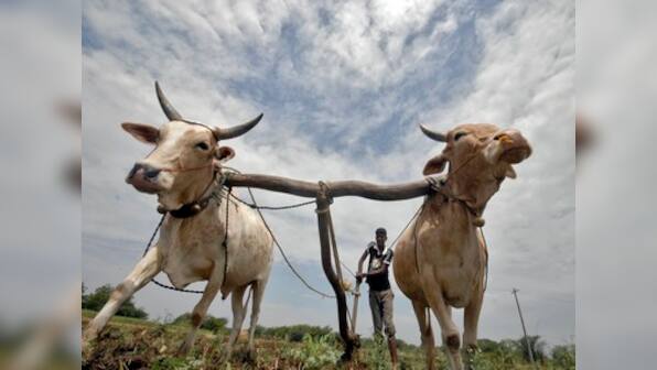 Met dept says monsoon deficiency will improve soon