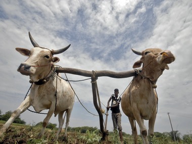 Met dept says monsoon deficiency will improve soon Met dept says monsoon deficiency will improve soon