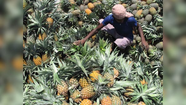 Why following a pineapple fad diet is not a good idea