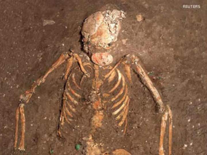 Most complete pre-human skeleton discovered: Scientists Most complete pre-human skeleton discovered: Scientists