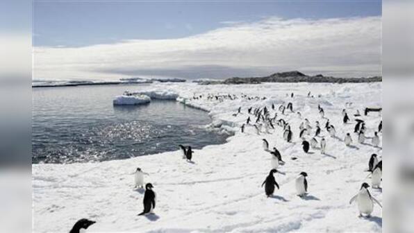 Will Arctic sea ice vanish within 10 years?