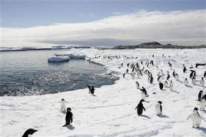 Will Arctic sea ice vanish within 10 years?