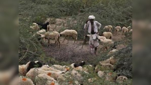 Looming drought leaves livestock farmers in lurch for fodder