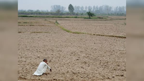 Mystery monsoon: How we went from drought to bumper crop