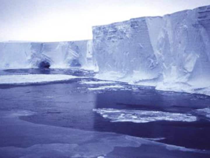 If global warming persists, palm trees could grow in Antarctic If global warming persists, palm trees could grow in Antarctic