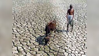Beyond coalgate: Meanwhile, farmers are dying in India too