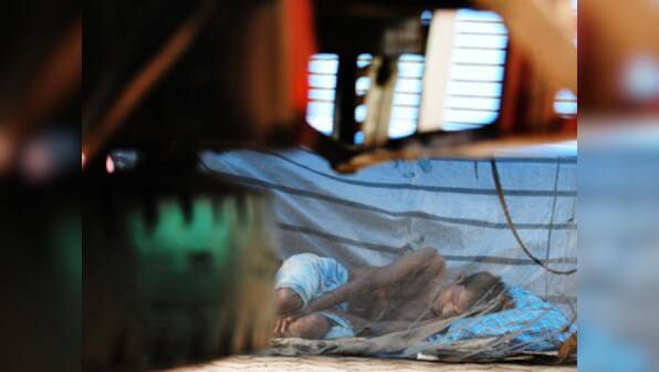 The mosquito's reign of terror: The high price of 'aspirational' India