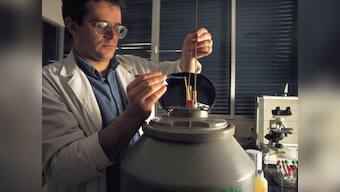 In sperm world, slow and steady wins the race