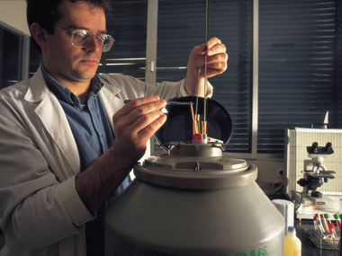 In sperm world, slow and steady wins the race In sperm world, slow and steady wins the race