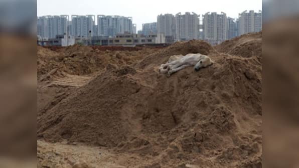 Delhi's Nowhere People: The politics of 'illegal colonies' 