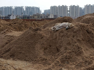 Delhi's Nowhere People: The politics of 'illegal colonies' Delhi's Nowhere People: The politics of 'illegal colonies'