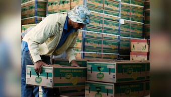 Slowdown: Exports shrink 15% to $22 bn in July