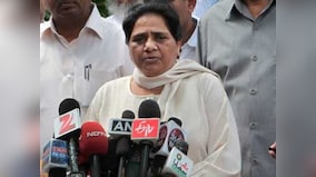 Quotas: Maya makes a fool of everybody, including herself