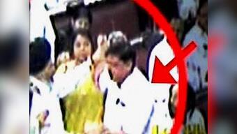 Scuffle in Parliament over quota bill was Congress plot, says BJP MP