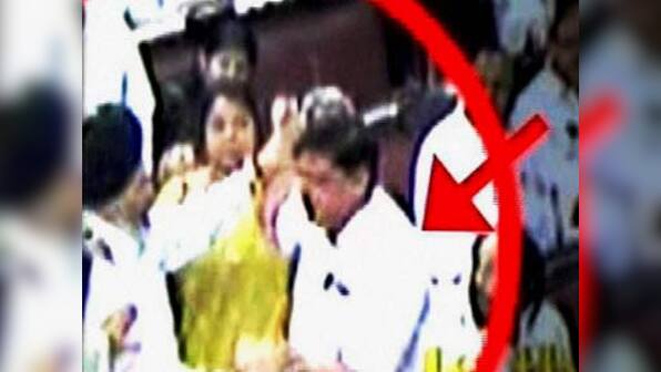 Scuffle in Parliament over quota bill was Congress plot, says BJP MP