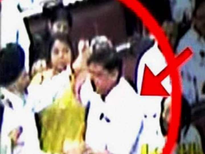 Scuffle in Parliament over quota bill was Congress plot, says BJP MP