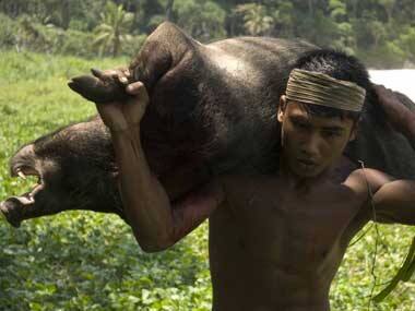 Indian navy jeopardising pristine Nicobar island?