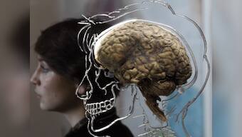 Researchers find way to erase memories from the brain