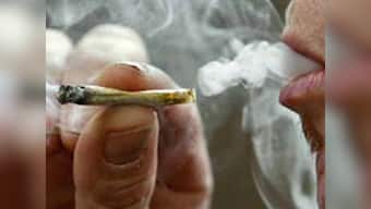 Marijuana causes testicular cancer