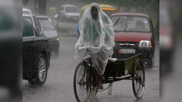 Torrential rains in Mumbai, Maharashtra bring farmers joy